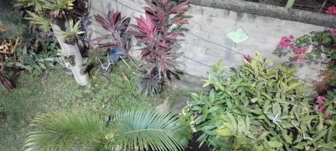 Photo of Others in Kalipuro