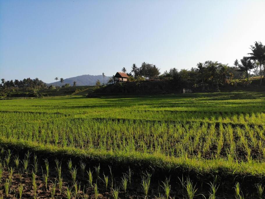Photo of Others in West Selemadeg