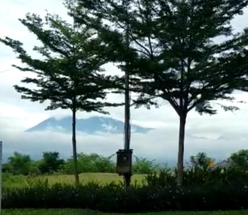 Photo of Others in Malang