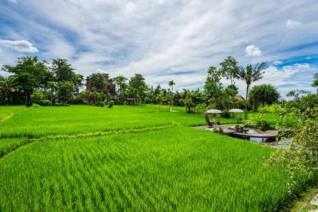 Photo of Others in Peliatan