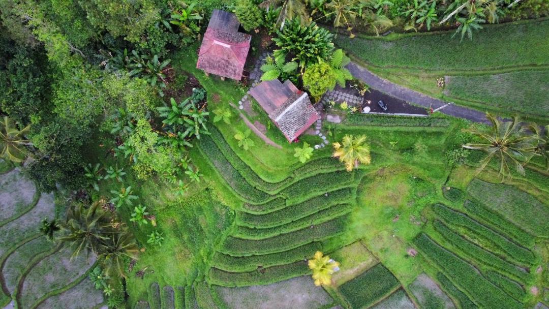 Photo of Others in Wongaya Gede