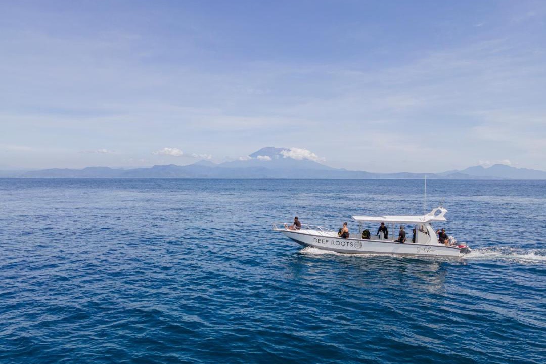 Photo of Others in Penida Island