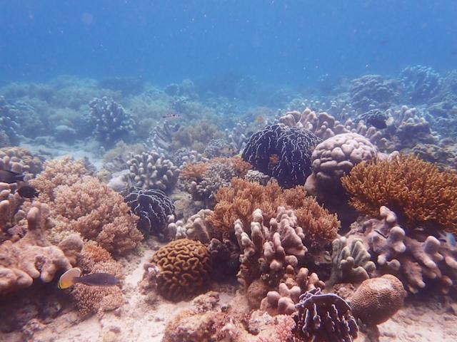 Photo of Others in Bangka Island