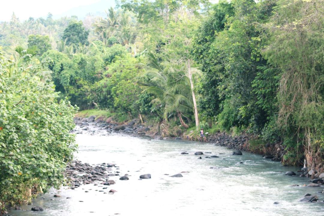Photo of Others in Medewi