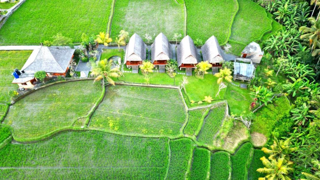 Photo of Others in Peliatan
