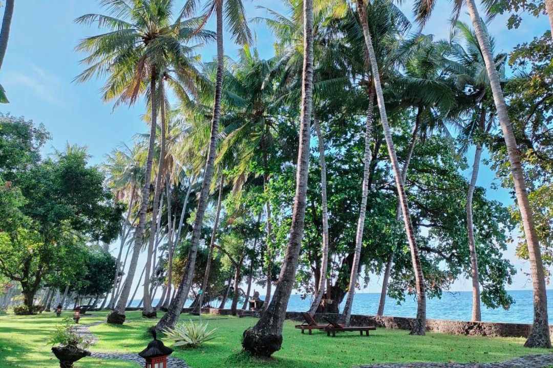 Photo of Others in Tejakula