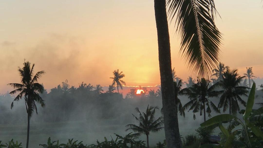 Photo of Others in Kemenuh