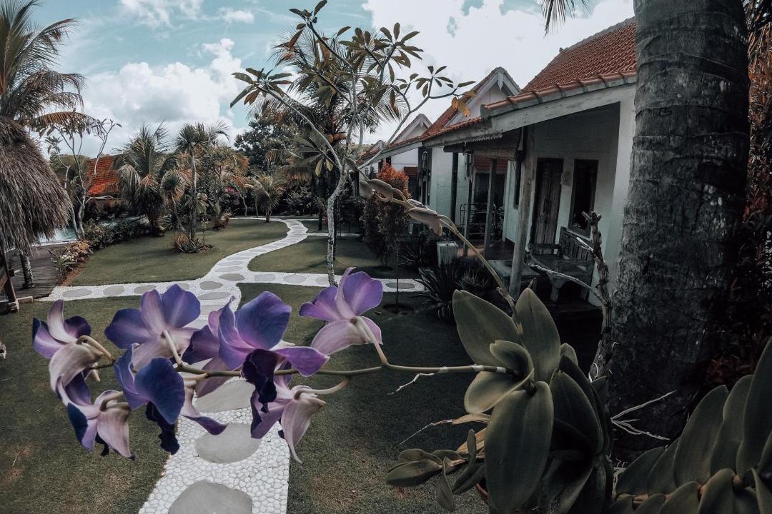 Photo of Others in Uluwatu