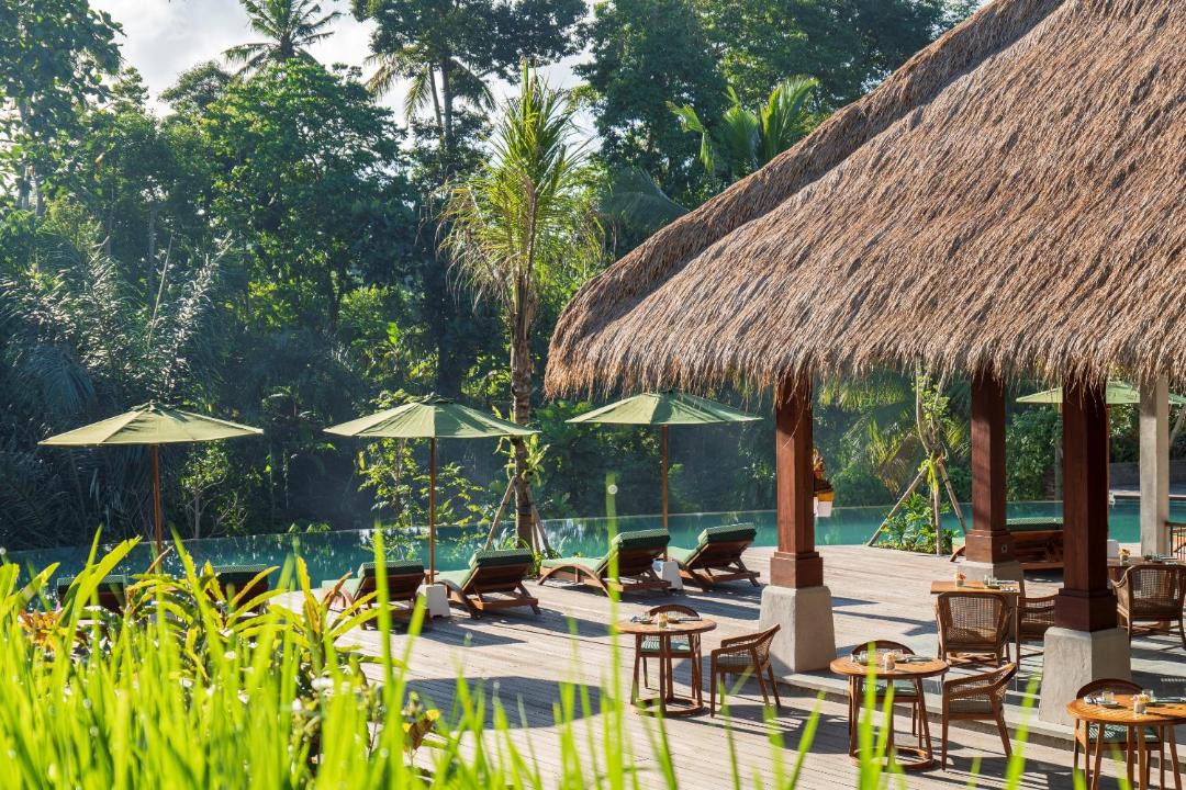 Photo of Others in Ubud