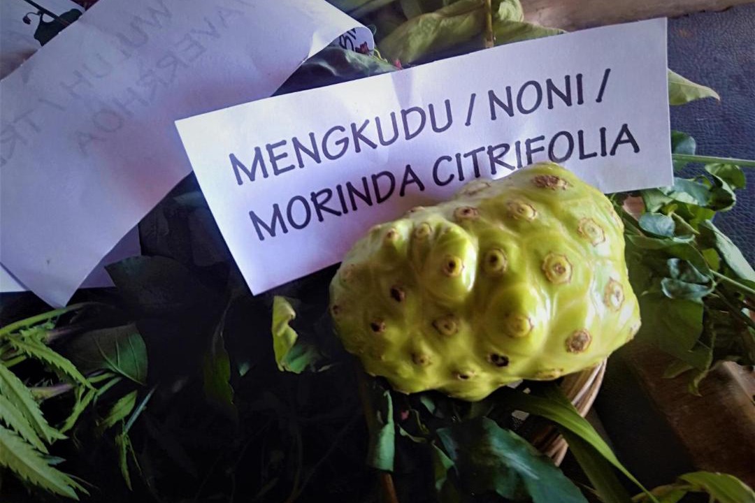 Photo of Others in Munduk