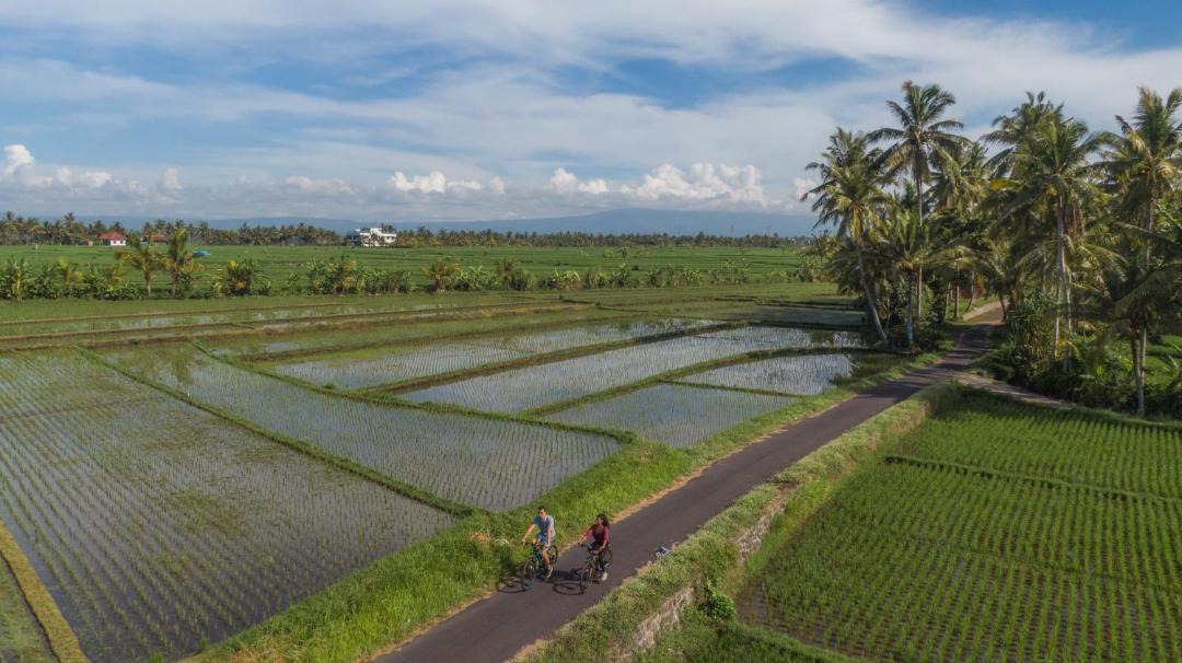 Photo of Others in Kediri