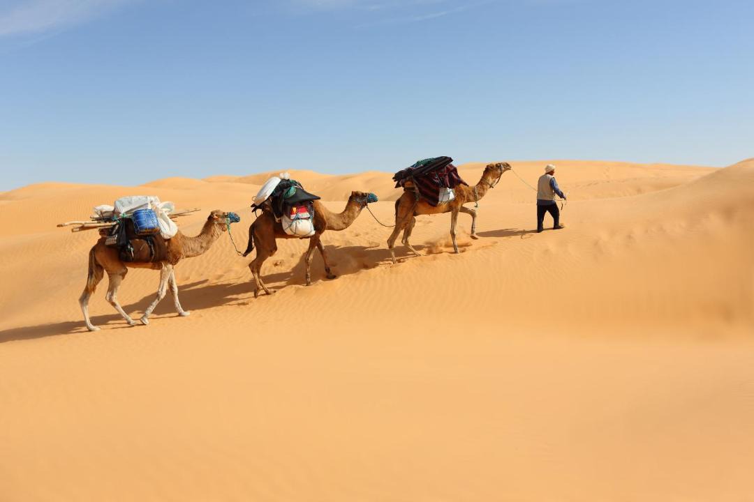 Photo of Others in Douz