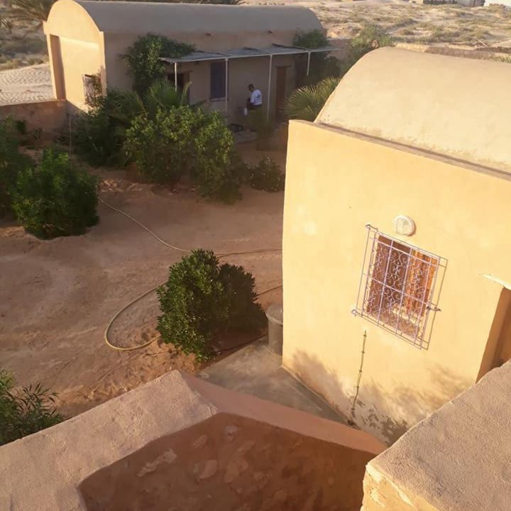Photo of Others in Douz