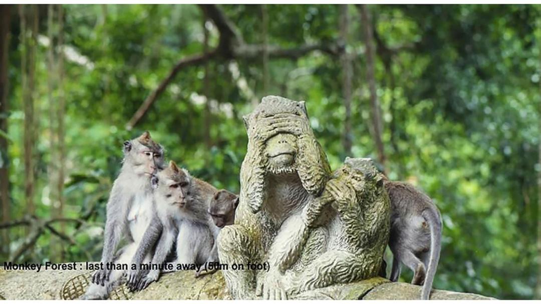 Photo of Others in Ubud City-Centre