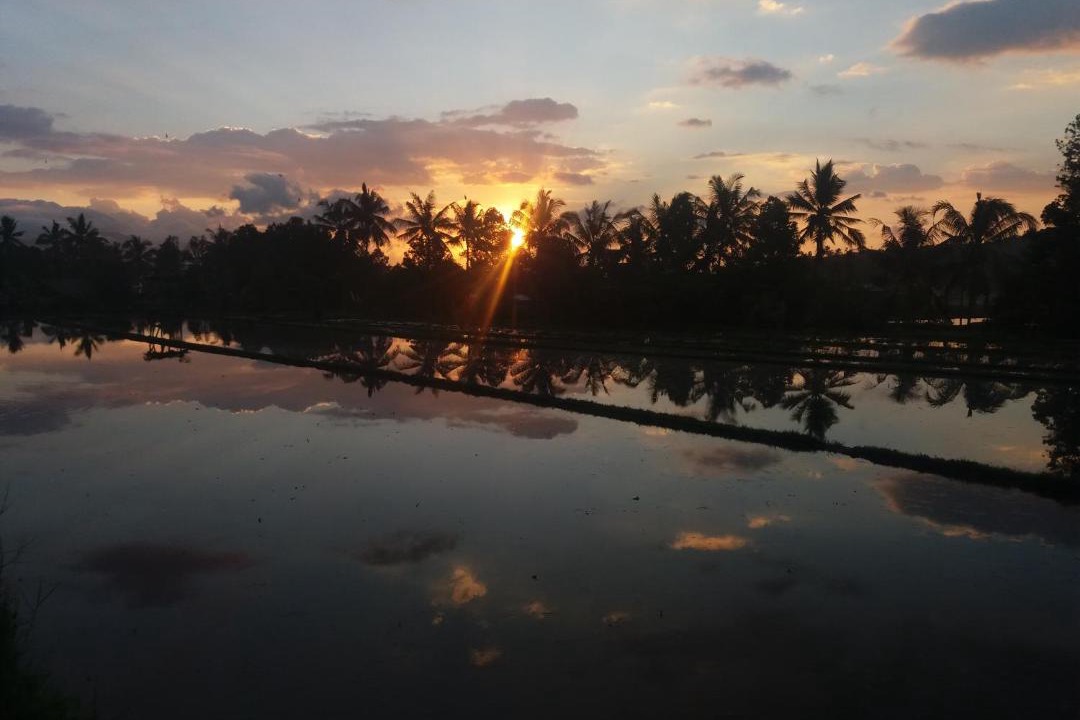 Photo of Others in Munduk
