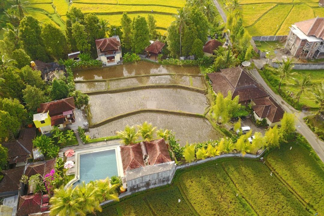 Photo of Others in Munduk
