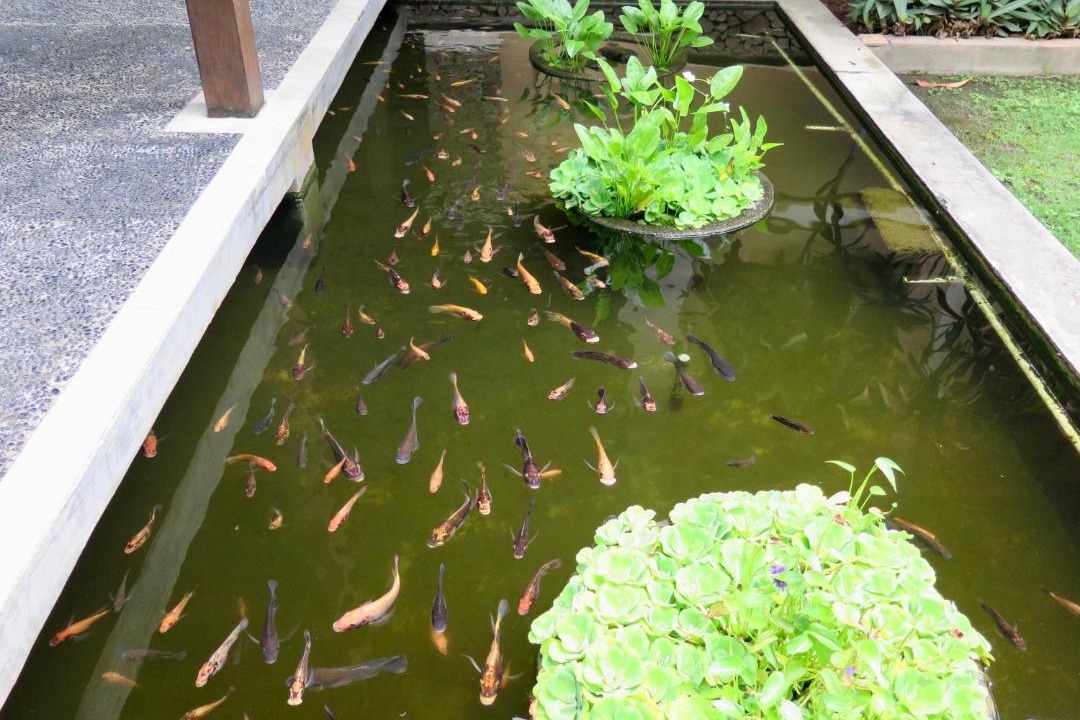 Photo of Others in Bunutan