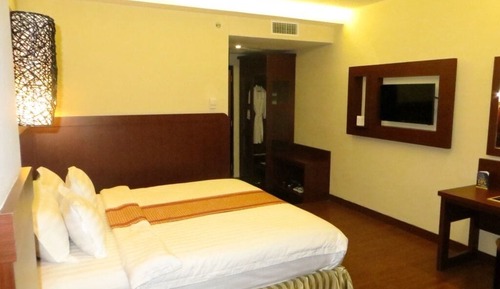 Superior Room, 1 Double Bed, Non Smoking, City View (Shower Only)