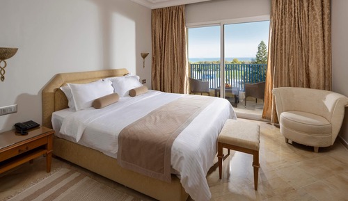 Superior Room, 1 King Bed