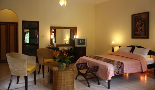Deluxe Double or Twin Room, 1 Queen Bed, Non Smoking, Garden View
