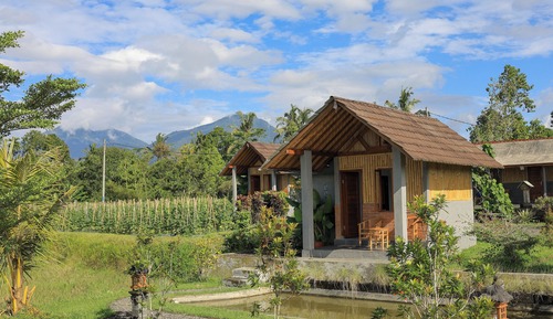 Cabin, Garden View