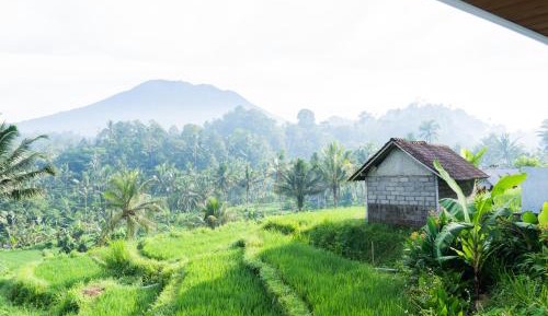 Double Room with Mountain View