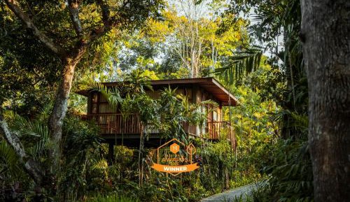 Treehouse Studio