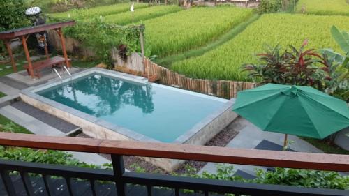 Double Room with Mountain View