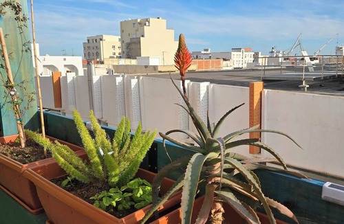Sousse Apartment | Charming 2-bedroom Apartment in the Heart of Sousse
