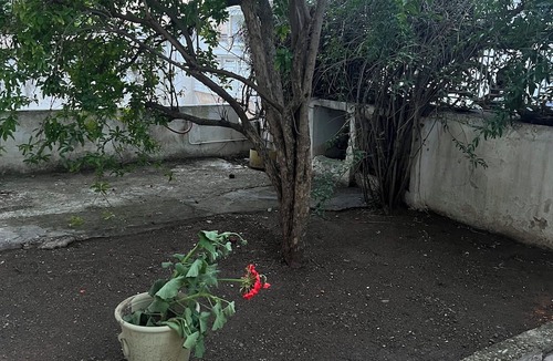 Ras Ettabia House | romana House: quiet location 10 min from airport snd 30 min drive to beaches!