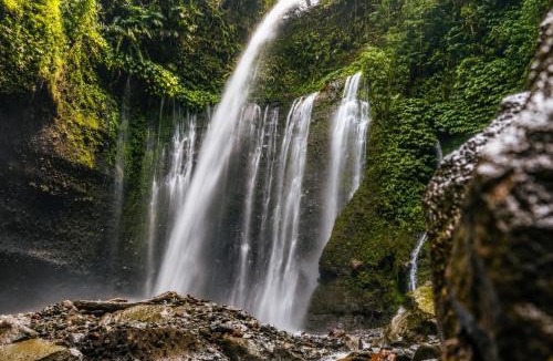 Singakerta Villa | 6 BR Luxury Sanctuary in Ubud Nature