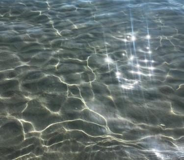 Jemmal House | La Vague, Authentic house between Art and Sea