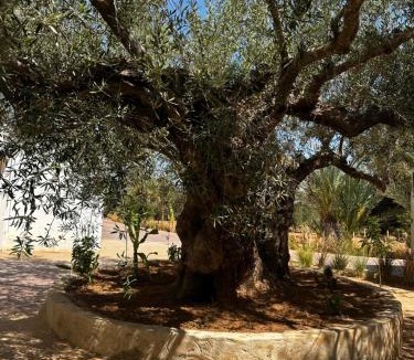 Hawmat al Badawiyin House | Domaine sultana