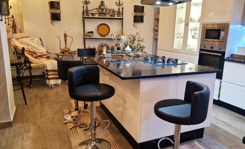 Bizerte Apartment | L'Appartement La Roche Élégance et confort