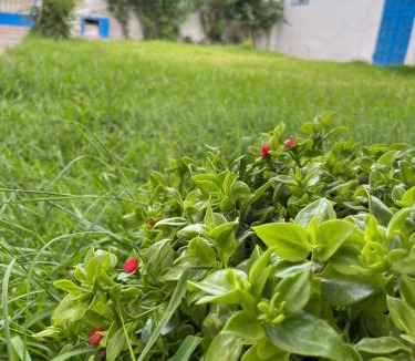 Ezzahra Villa | 3 bedroom Villa with garden