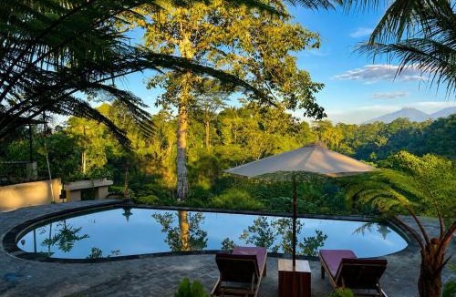 Taro Hotel | Moringa Cayon Retreat