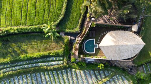 Selat Villa | Golden paddy bamboo house -by sunrise hill