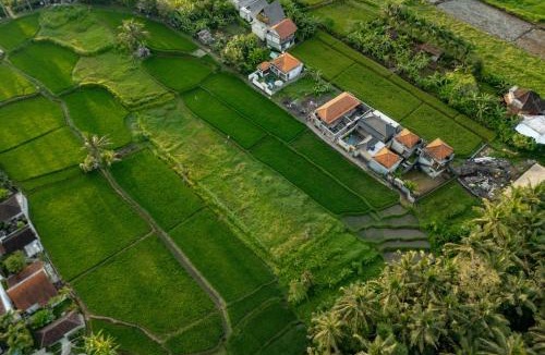Ubud Bed & Breakfast | Tugeh Ubud Antique Villa