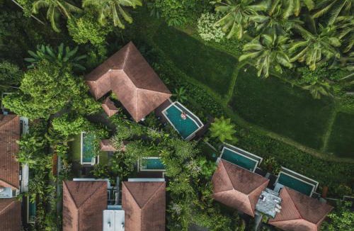 Kenderan Resort | Dedary Resort & Spa Ubud by Ini Vie Hospitality