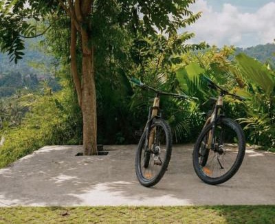 Sidemen Villa | Green Earth Bali luxury Bamboo villas