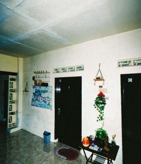 Kalipuro House | Homestay 50k Ketapang