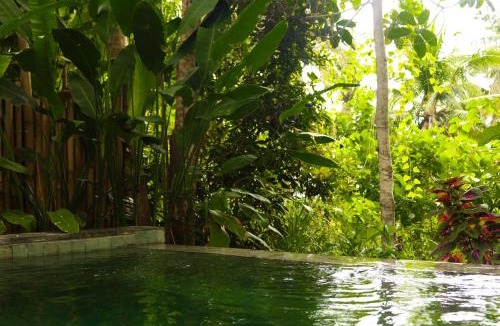 Penida Island Other | Exotic private glamping