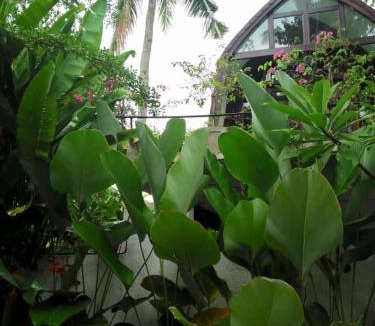 Lodtunduh House | Ubud Auroville Private Garden Villas