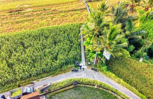 Mambal Villa | La Suva Villa