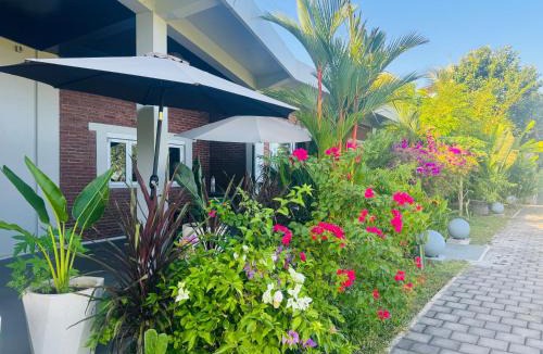 Mendoyo House | Sunsets at Sumbul