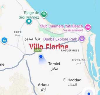 Aghir Apartment | villa Flor Midoun