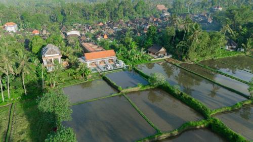 Keliki House | The Surana Villas Ubud with Rice Field View