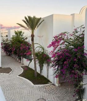 Aghir Villa | Dar Lisa - Charming authentic beachfront villa