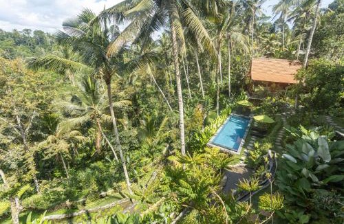 Tampaksiring Hotel | Kawiya Healing Retreat Sanctuary By Bali Cabin