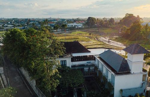 Babakan Hotel | Umpadhi Canggu